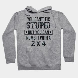 You Can't Fix Stupid But You Can Numb It With A 2x4 Hoodie